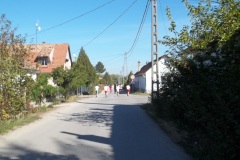 1956 m futás( 2012)