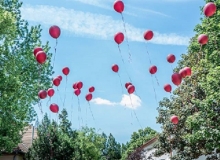 19060112_1482244945171046_8522273493249290939_n