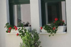 Madarak és fák napja